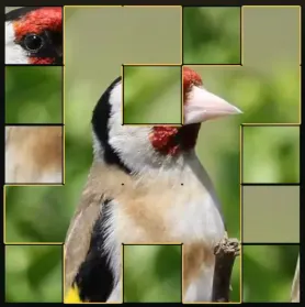 Endless Bird Jigsaw Puzzle logo