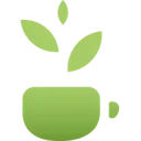Matcha logo