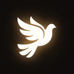 Still Heart logo