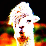 Deep Fried Meme Generator logo