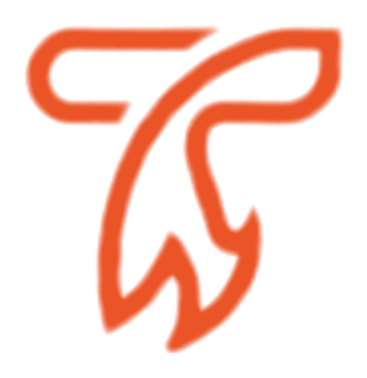 Tagfire logo