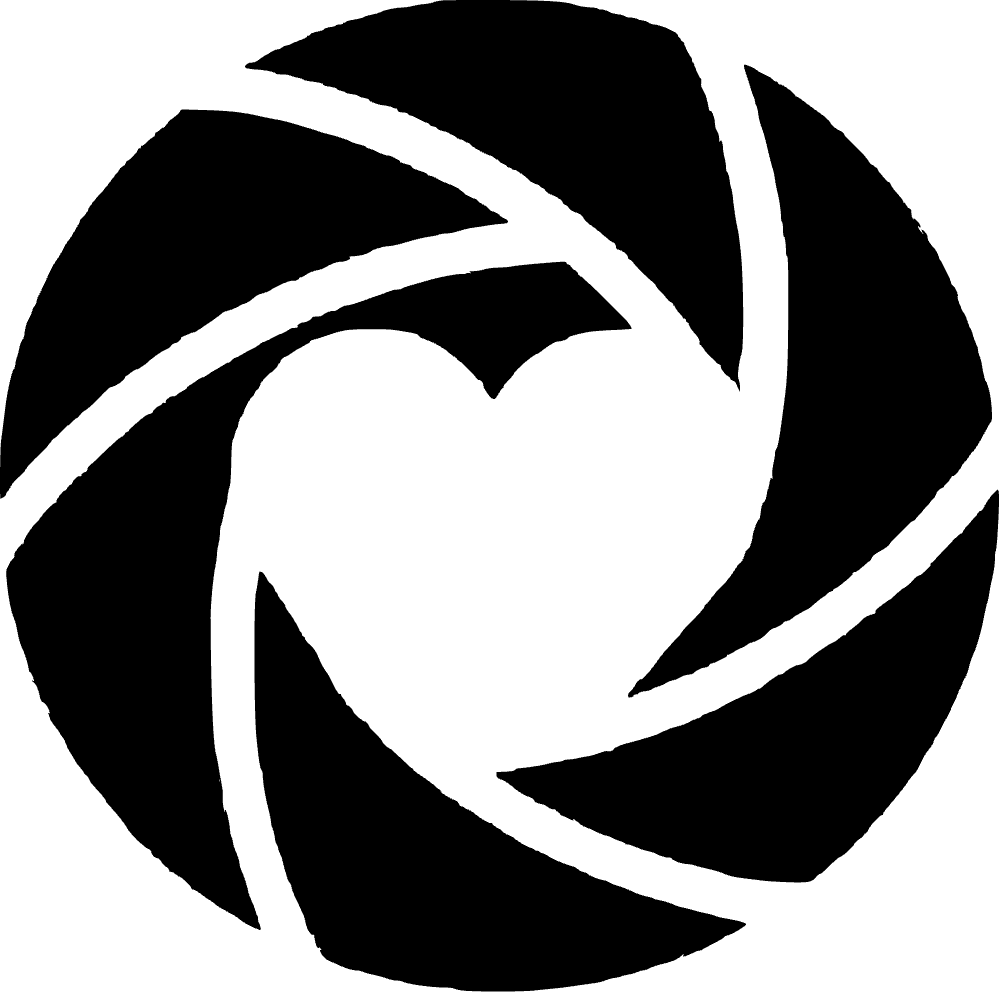 AmiCam logo